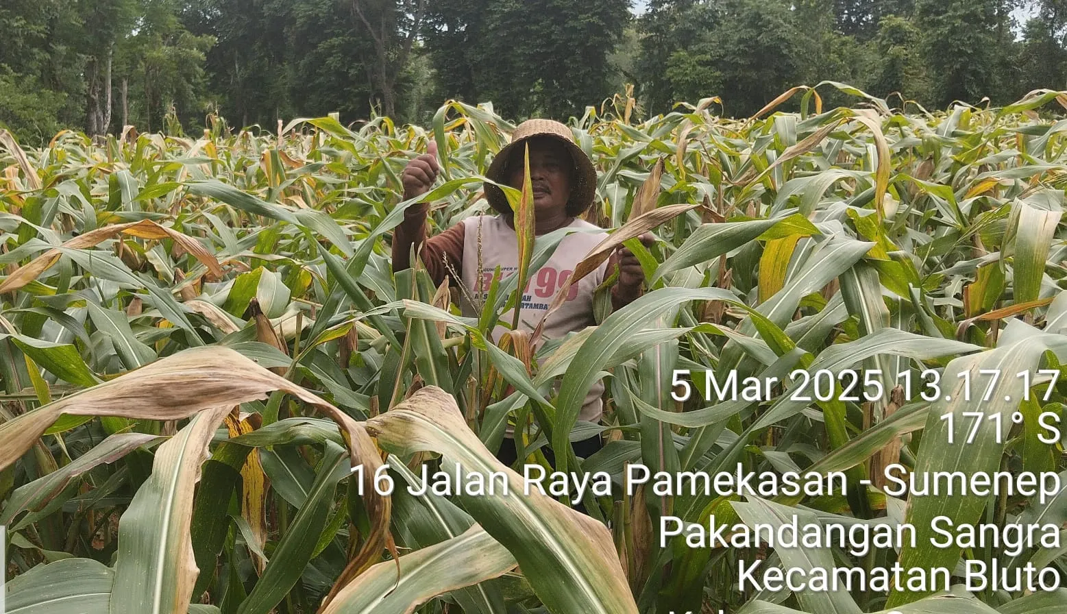 Jumahra (55) petani desa Pakandangan Sangrah, Kecamatan Bluto